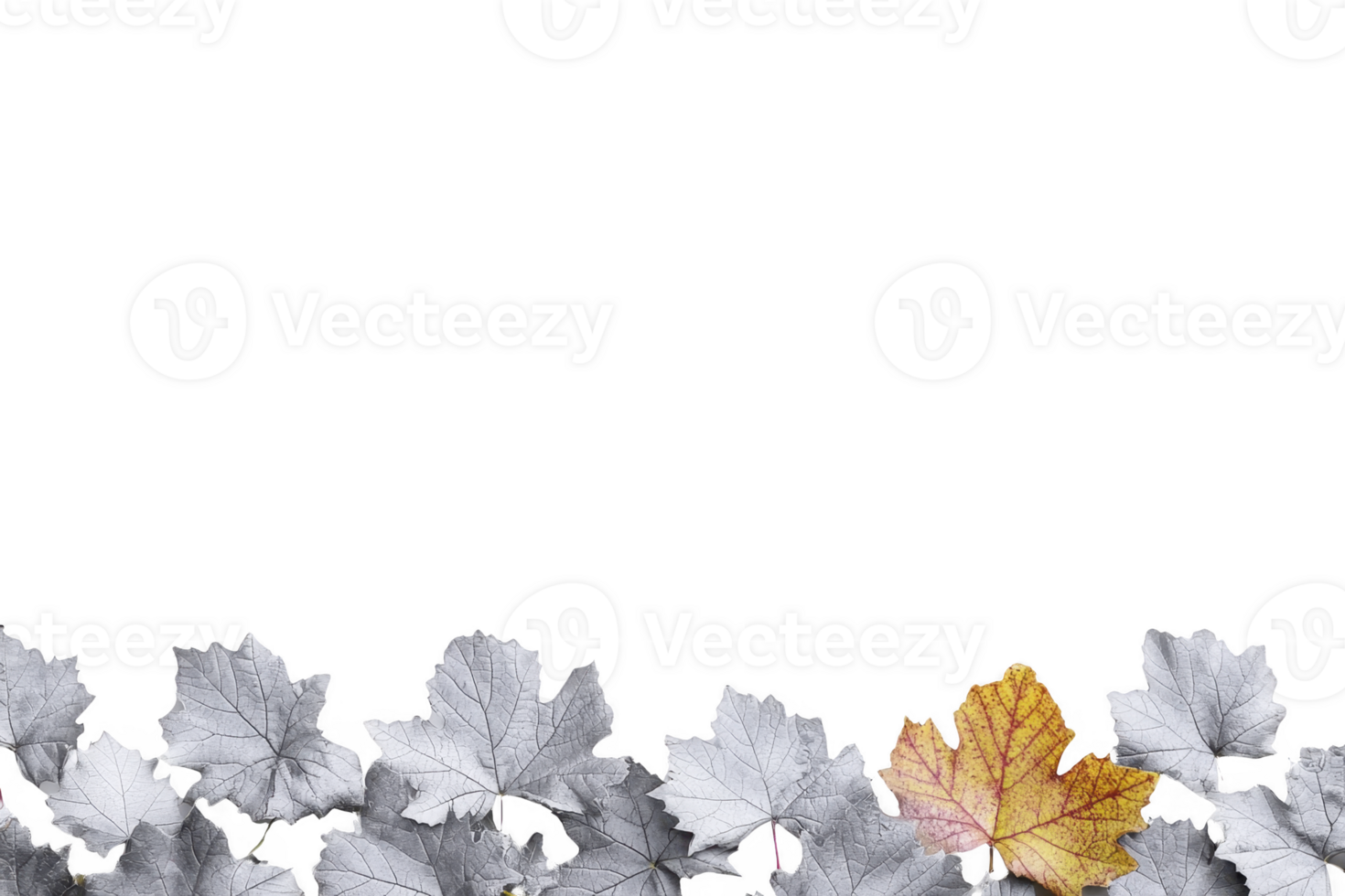 A single vibrant yellow leaf stands out among row of monochrome leaves, creating striking contrast and symbolizing individuality and change. image evokes sense of uniqueness and transformation png
