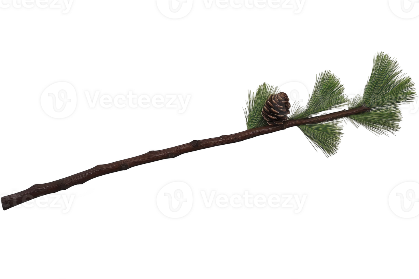 A pine branch with green needles and single pine cone is depicted, showcasing nature simplicity and beauty. branch is slender, with cone adding texture and interest png