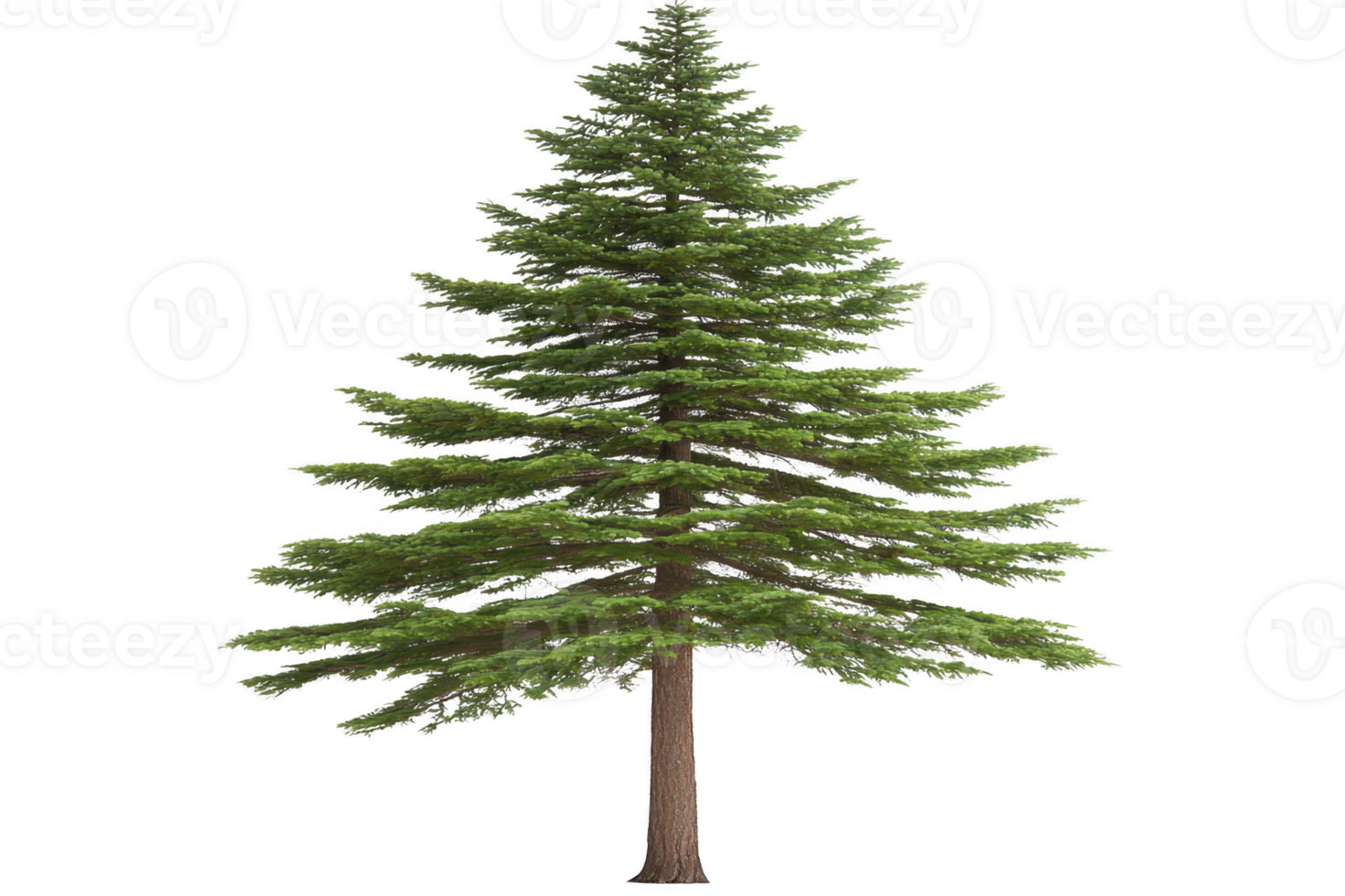 A tall, lush evergreen tree stands majestically with its dense green foliage and sturdy brown trunk, evoking sense of tranquility and natural beauty png