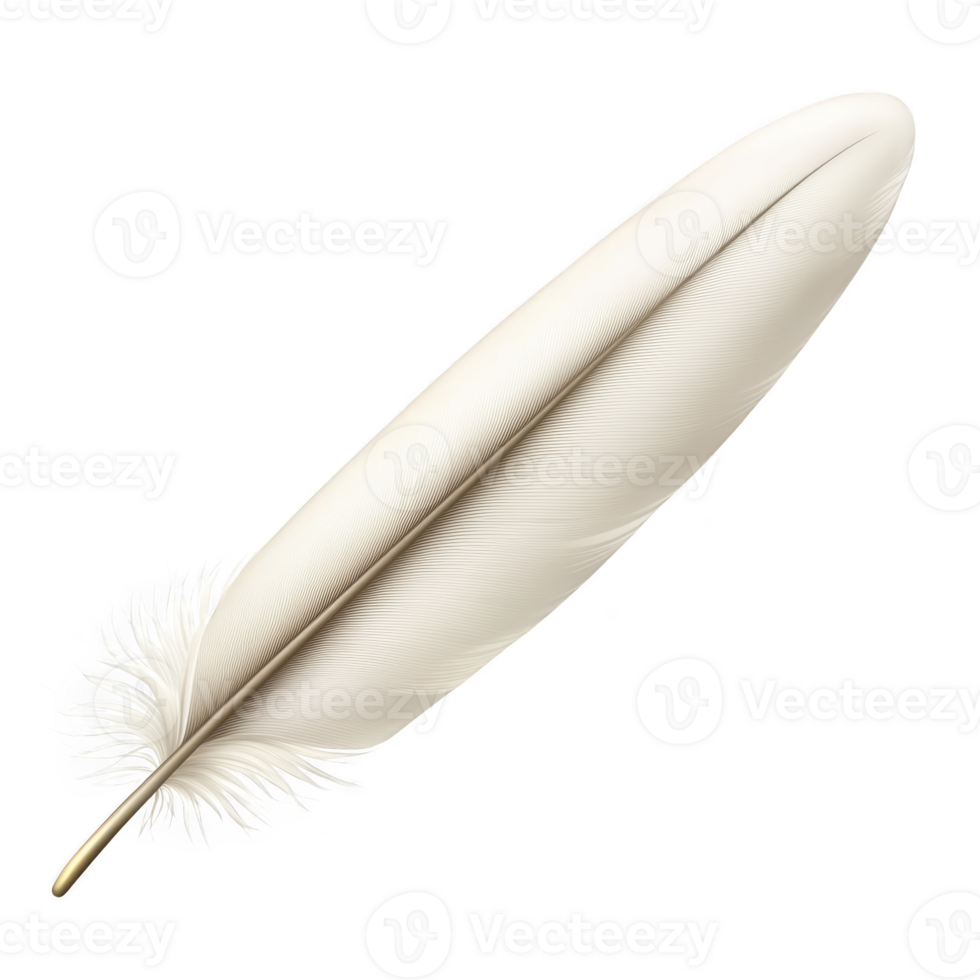 A single, elegant white feather with delicate details and soft texture, symbolizing lightness and grace. feather simplicity and purity evoke sense of calm and tranquility png
