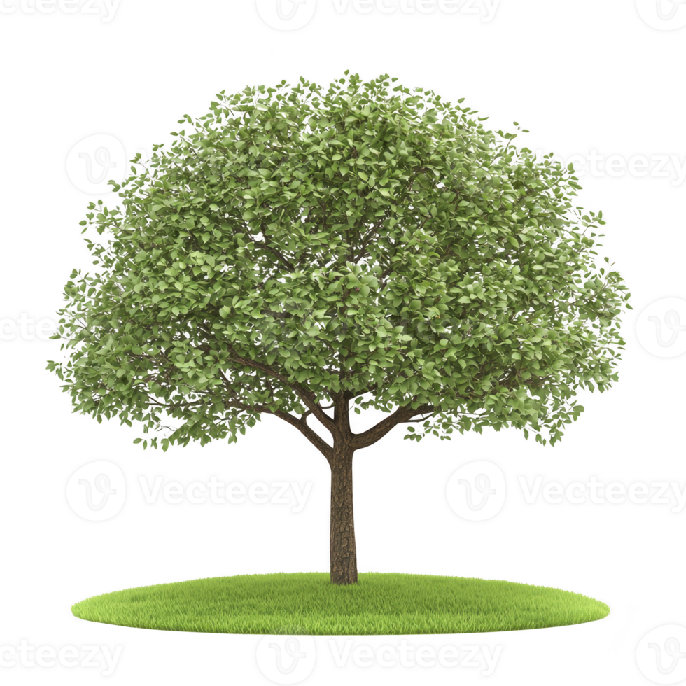 A lush green tree with full canopy stands on small patch of grass, symbolizing nature and growth. tree vibrant leaves and sturdy trunk create serene and peaceful atmosphere png