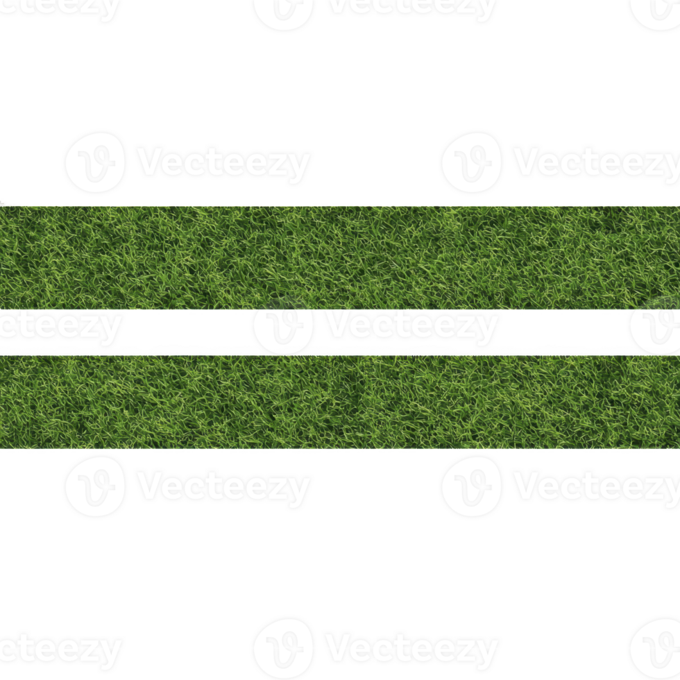 A Two horizontal strips of lush green grass on transparent background, perfect for design projects png