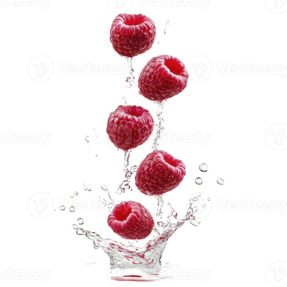 A Five fresh raspberries splash into clear water, creating dynamic motion and droplets. vibrant red berries contrast against transparent liquid, highlighting freshness and vitality png