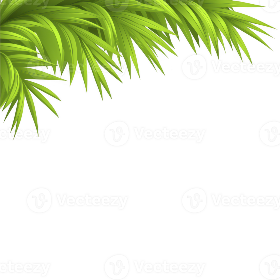 A Lush green palm leaves form vibrant corner border on transparency background, creating tropical and fresh atmosphere png