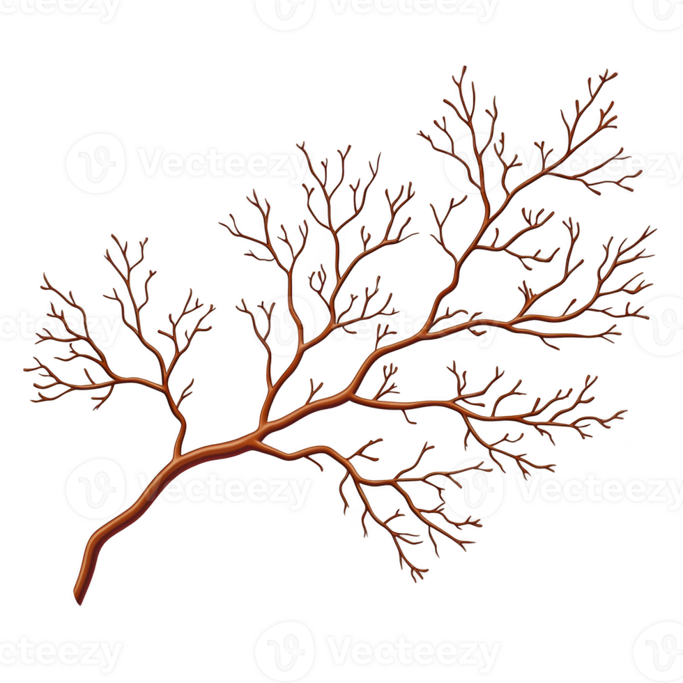 A detailed illustration of branching tree like structure with intricate, leafless branches on transparent background. design resembles natural, organic pattern png