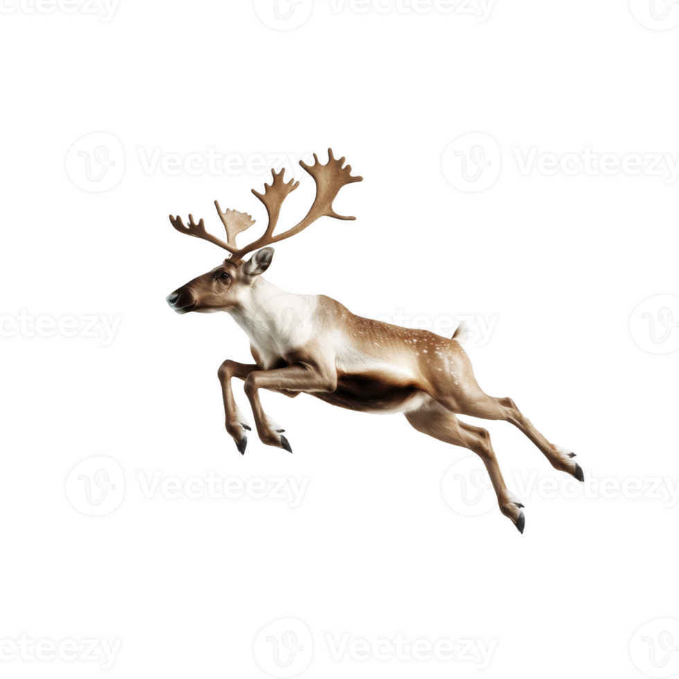 A majestic reindeer with impressive antlers is captured mid leap, showcasing its agility and grace against plain background png