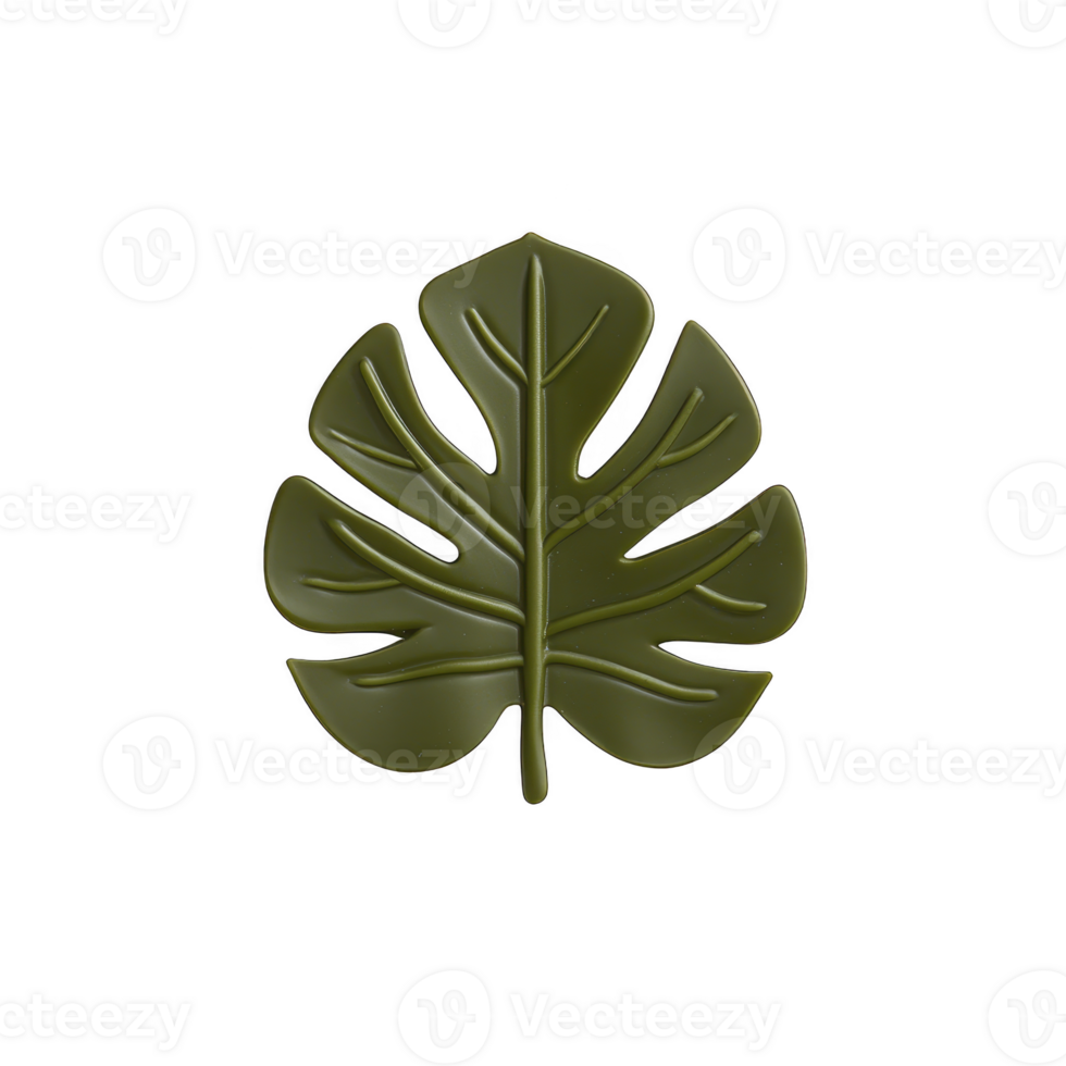 A green monstera leaf with glossy finish is depicted against plain background, showcasing its distinct split and fenestrated design png