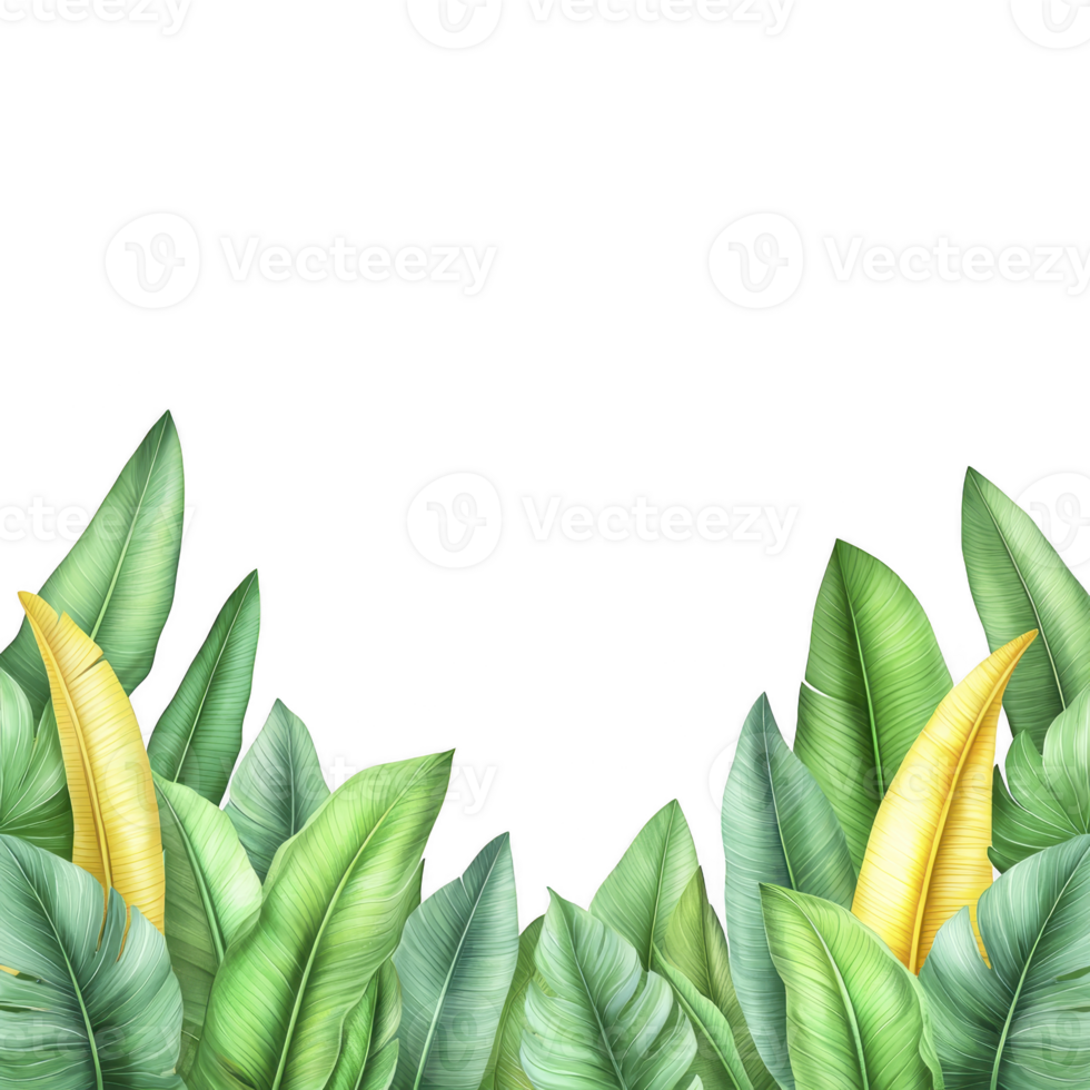 A Tropical banana leaves with vibrant green and yellow hues create lush, natural border against transparency background, evoking sense of exotic tranquility png