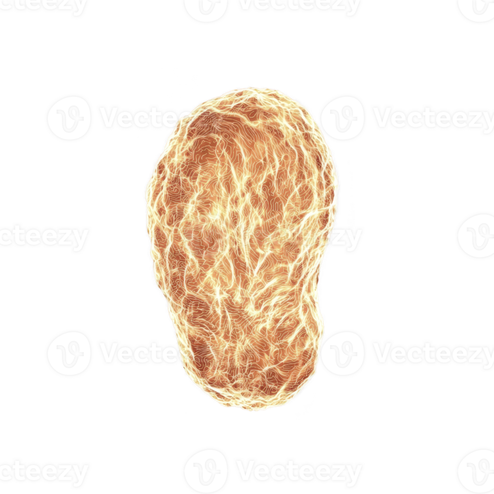This features glowing, abstract representation of peanut against transparency background. intricate lines and luminous effect create sense of energy and movement, highlighting texture and form png