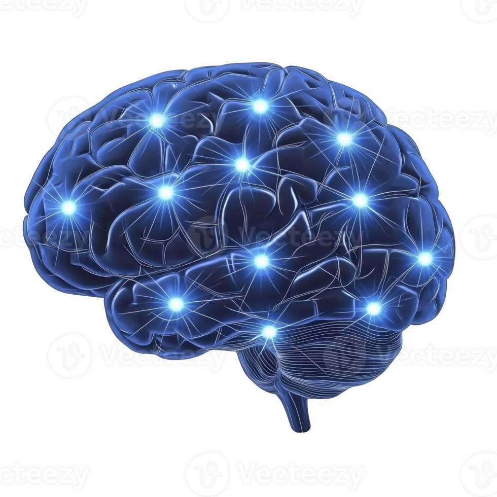 digital illustration of human brain with glowing neural connections, symbolizing artificial intelligence and cognitive processes. blue color adds futuristic and technological feel png
