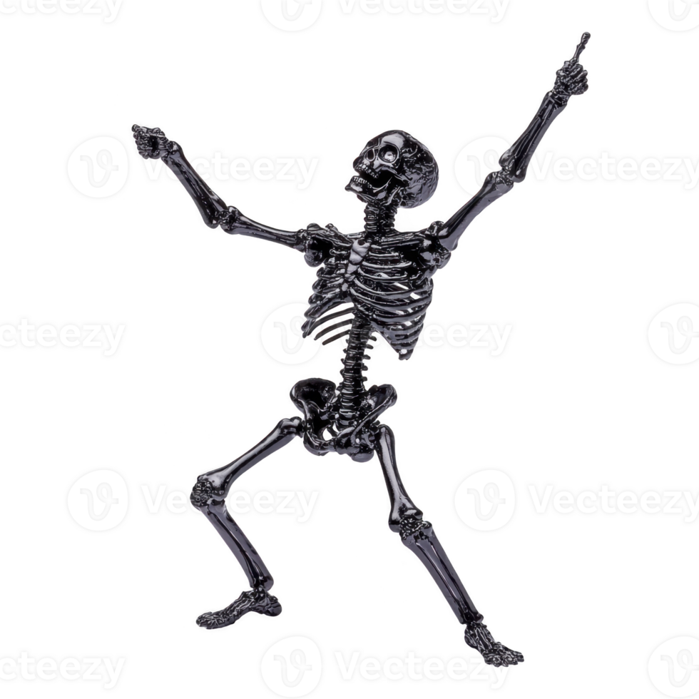human skeleton is posed dynamically, with arms raised and one finger pointing upward, conveying sense of excitement or celebration. skeletal structure is detailed and anatomically accurate png