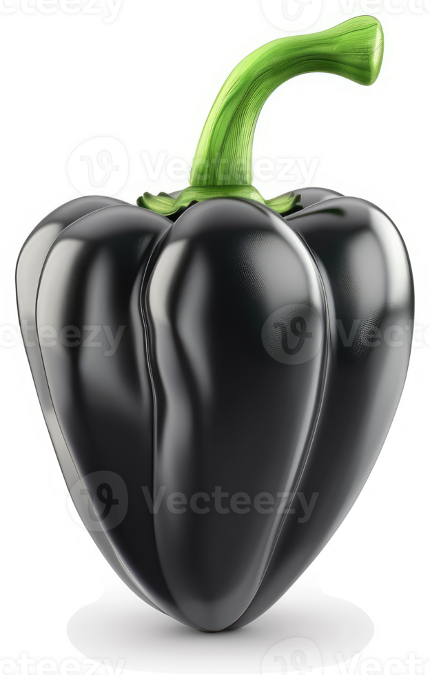 Glossy, deep black bell pepper, vibrant green stem. png