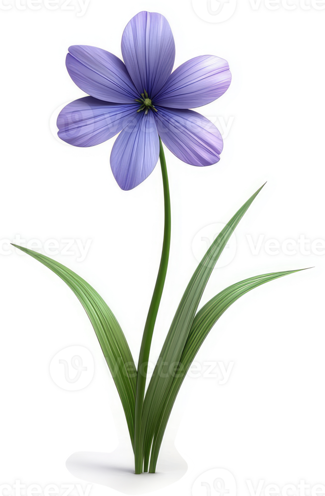 Isolated, delicate purple flower with slender leaves. png
