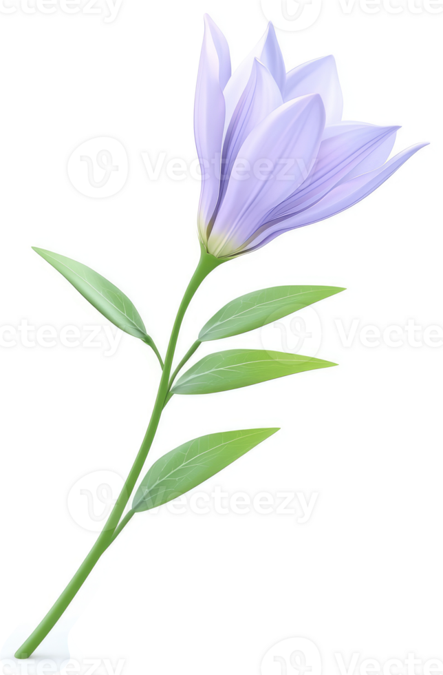 Delicate lavender flower with slender stem and leaves. png