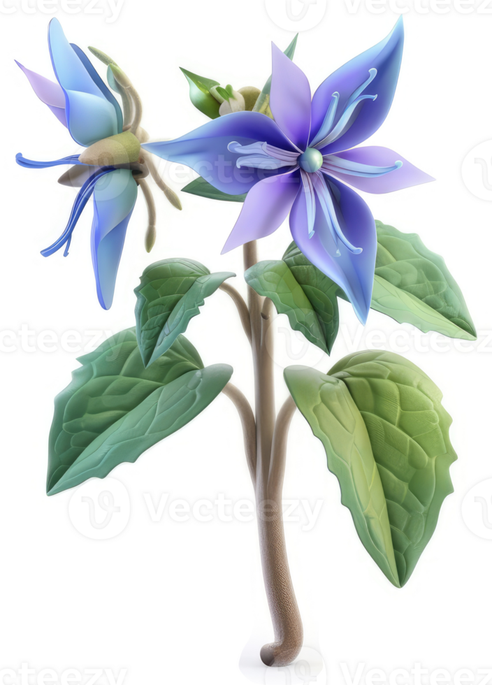 Vibrant, 3D rendering of a flowering plant with two blossoms. png