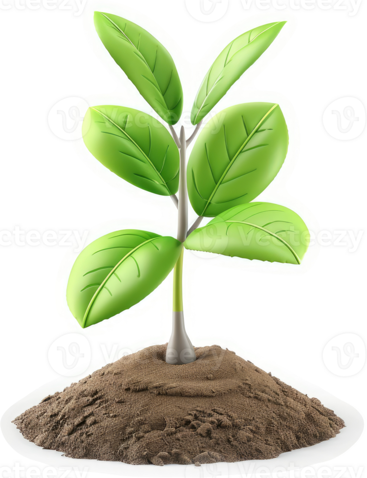 Sprout emerging from fertile soil. png