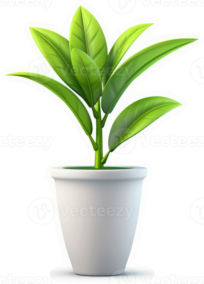 Vibrant potted plant, a lush indoor greenery. png