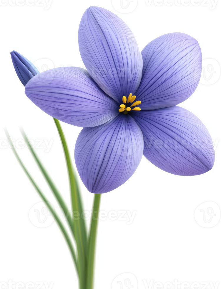 A vibrant purple flower with delicate petals. png
