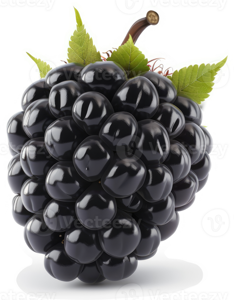 Close-up view of a plump, dark blackberry. png