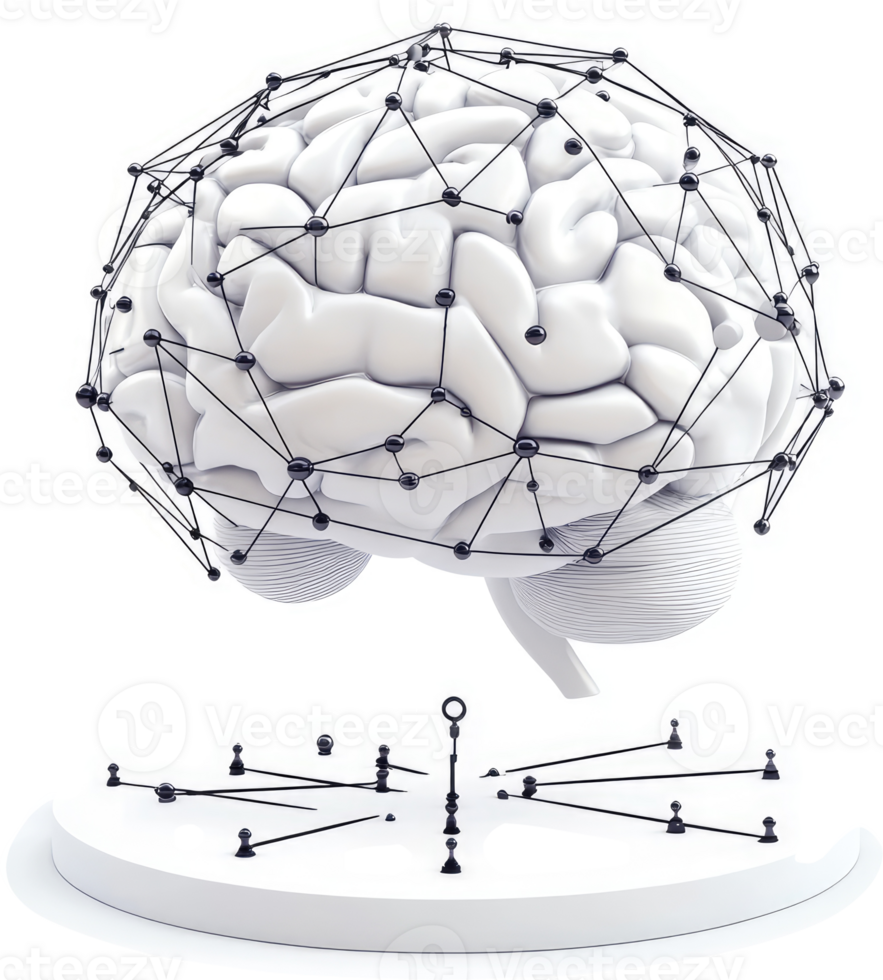 Networked brain structure on a support base. png