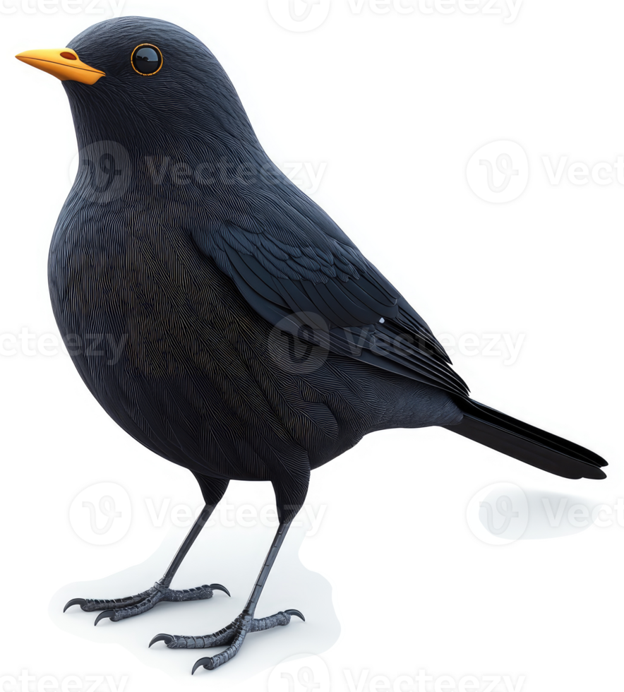 A detailed illustration of a glossy blackbird. png