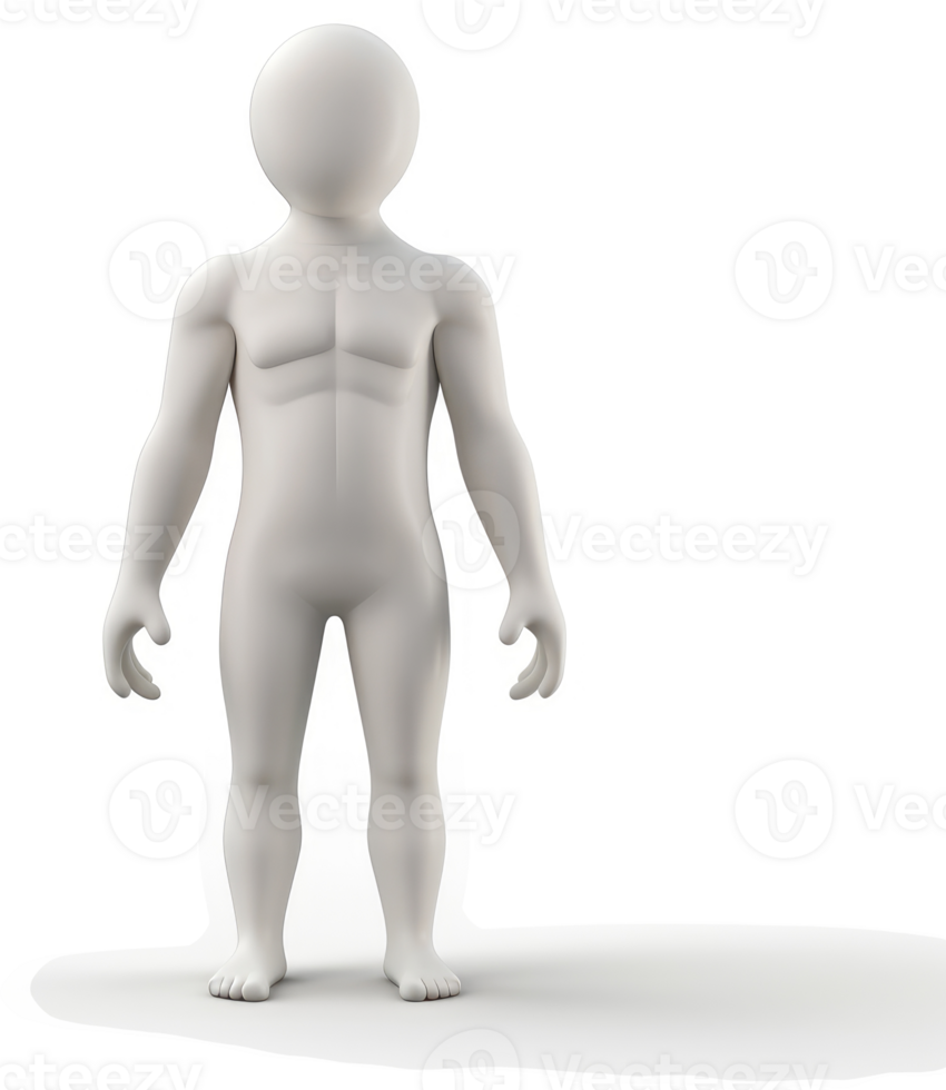 Full-body 3D model of a child's human anatomy. png