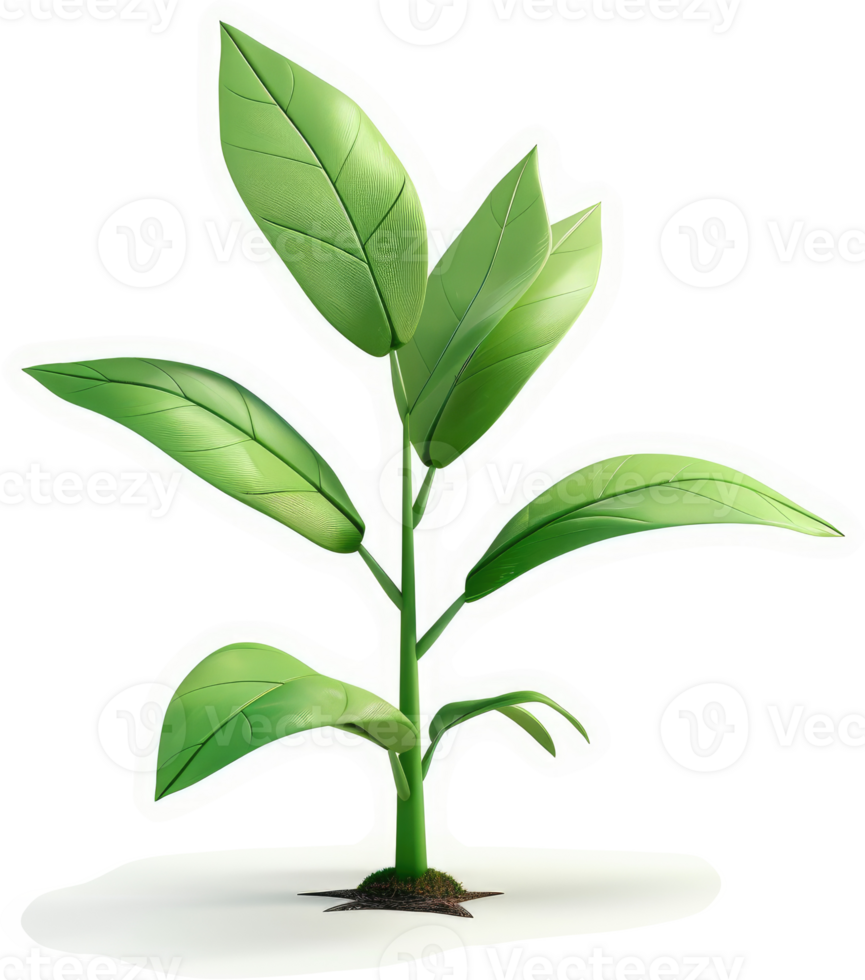 Vibrant sprout with lush green leaves. png