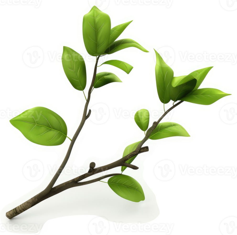 A vibrant, springtime branch with fresh green leaves. png