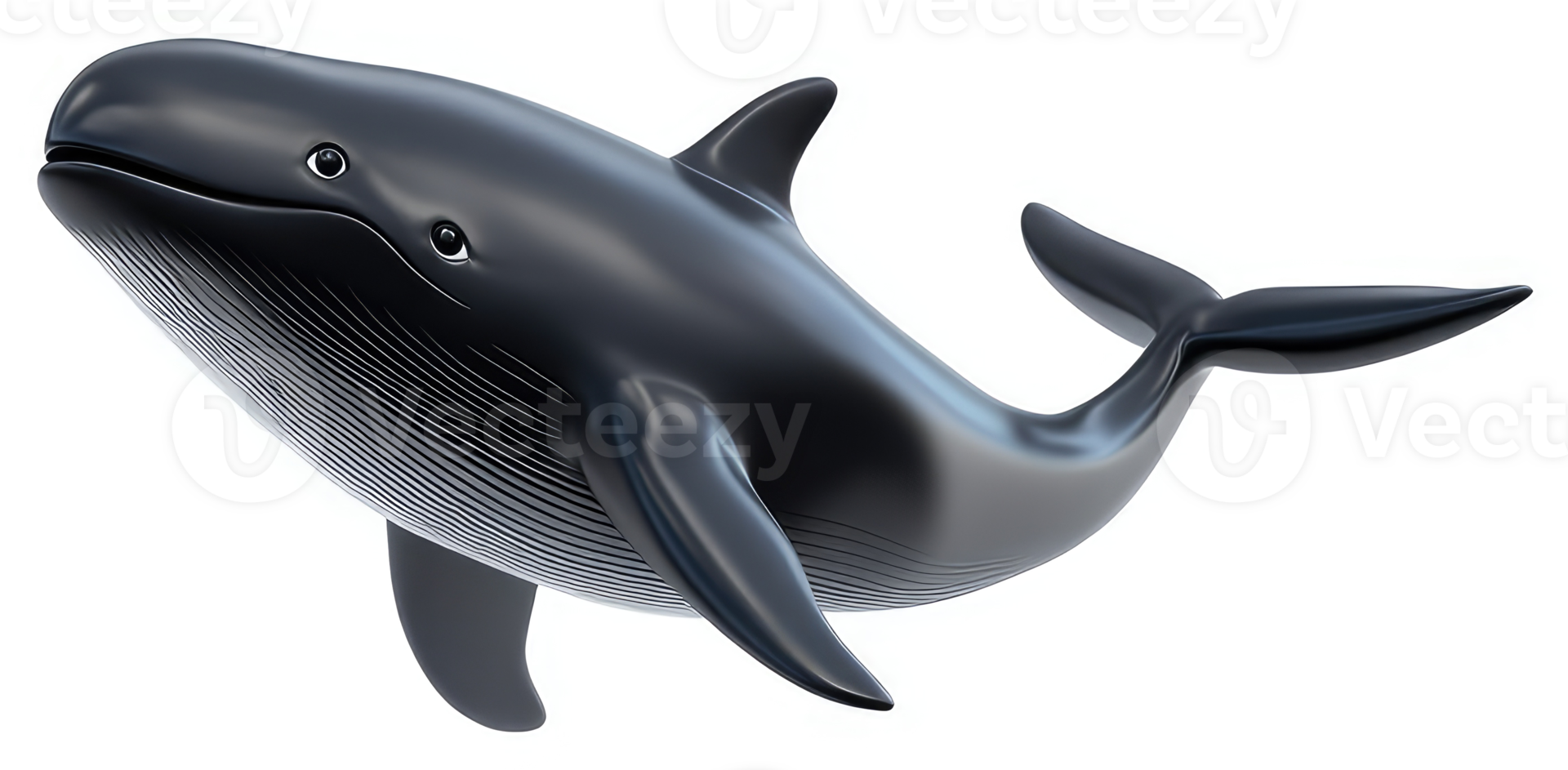 Dark grey whale glides gracefully through the ocean. png
