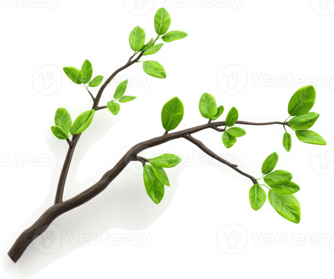 A spring branch with vibrant new leaves. png
