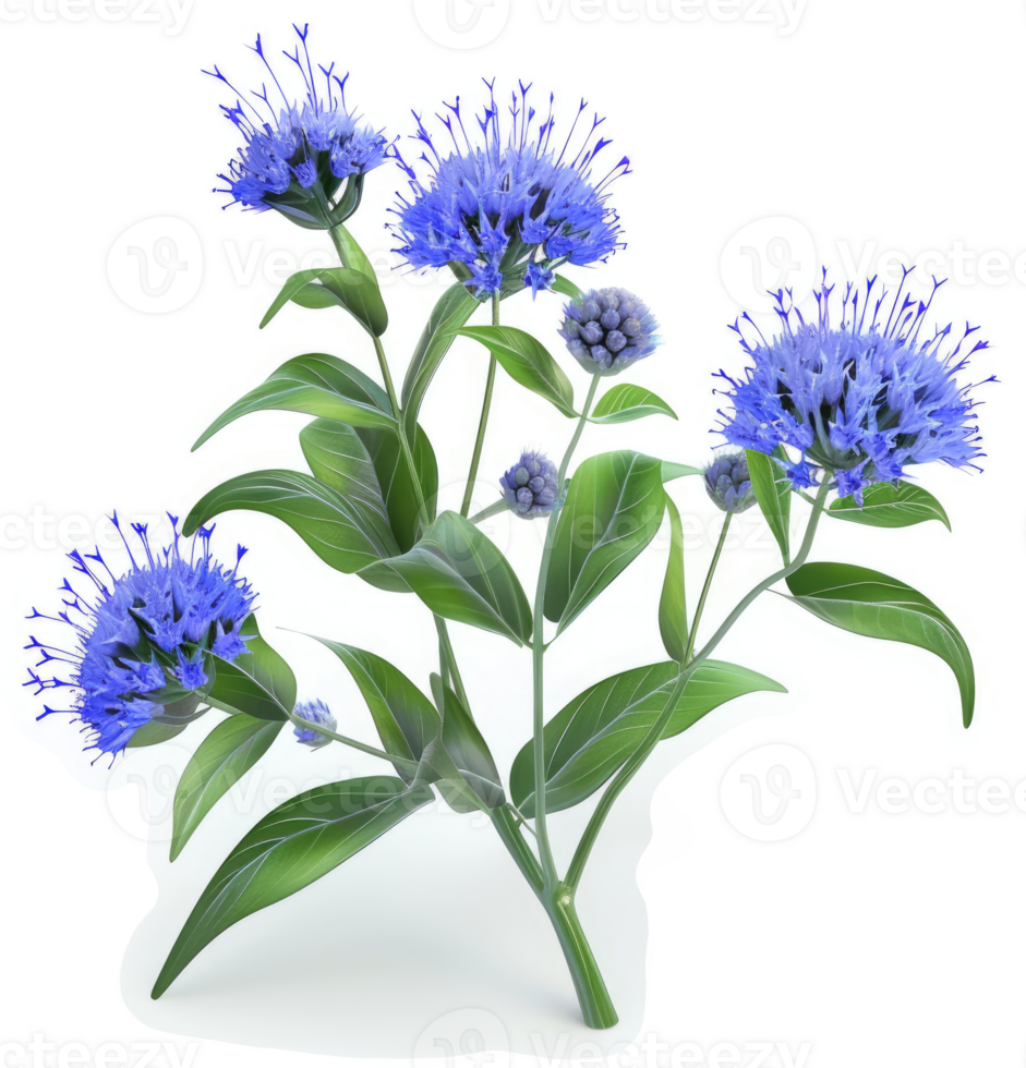 Vibrant cluster of light blue flowers and foliage. png