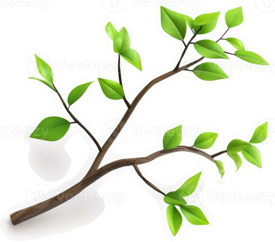 Vibrant green branch with fresh foliage. png