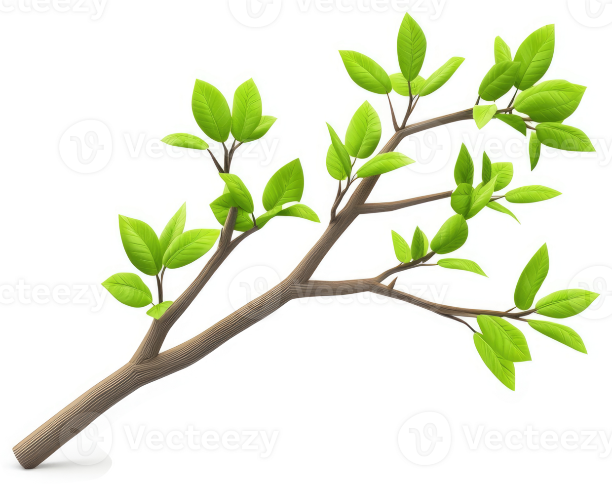Sprouting branch with vibrant leaves. png
