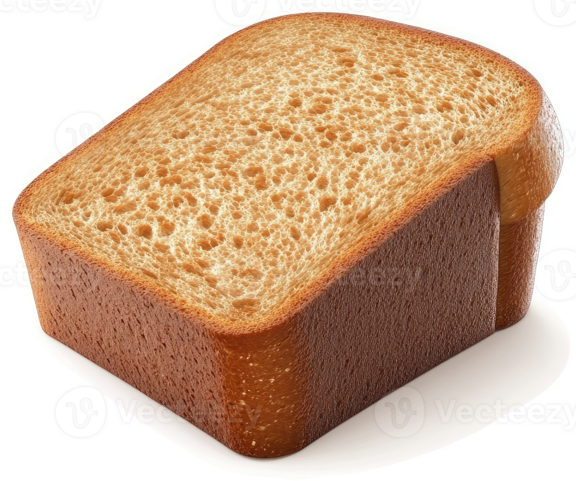 Close-up image of a slice of toasted whole-wheat bread. png