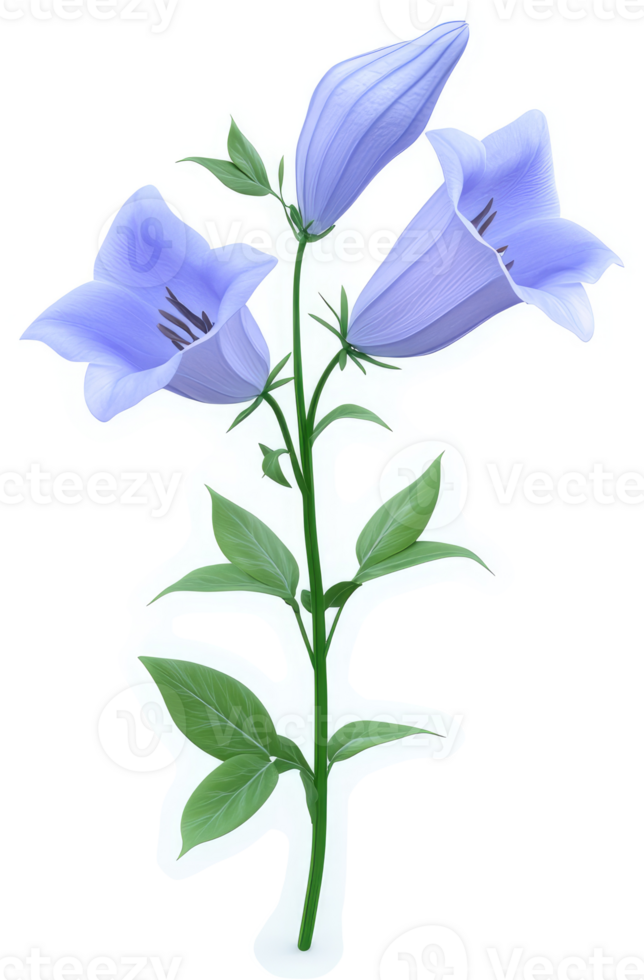 Three light-blue bell-shaped flowers on a stem. png