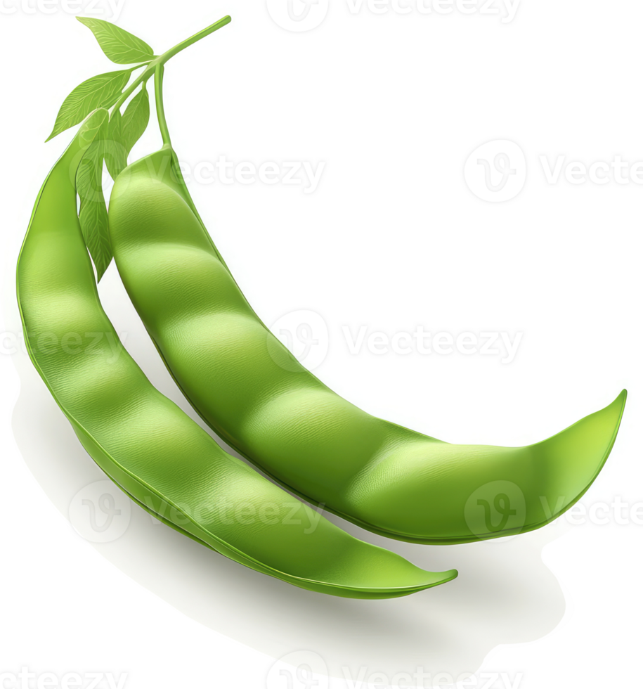 Two vibrant green snap peas, displaying their textured pods. png