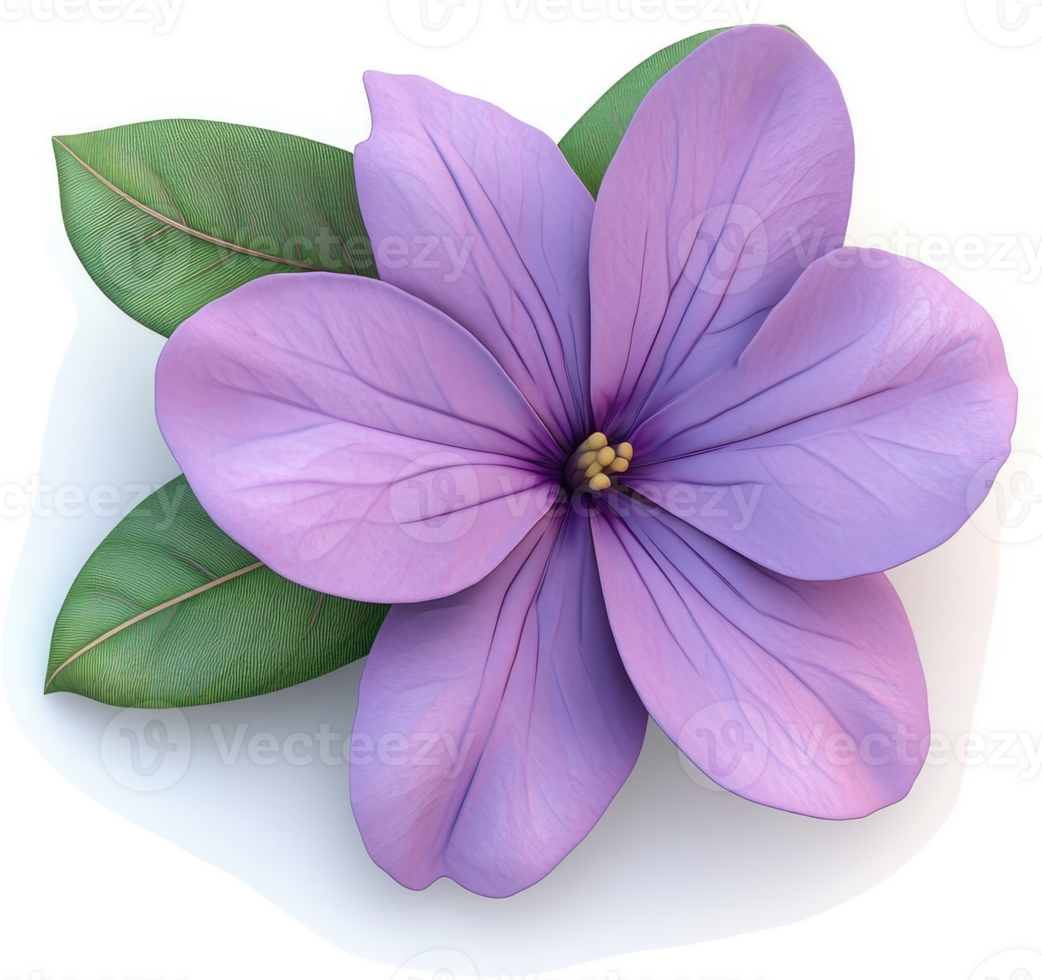 A vibrant, light purple flower with lush green leaves. png