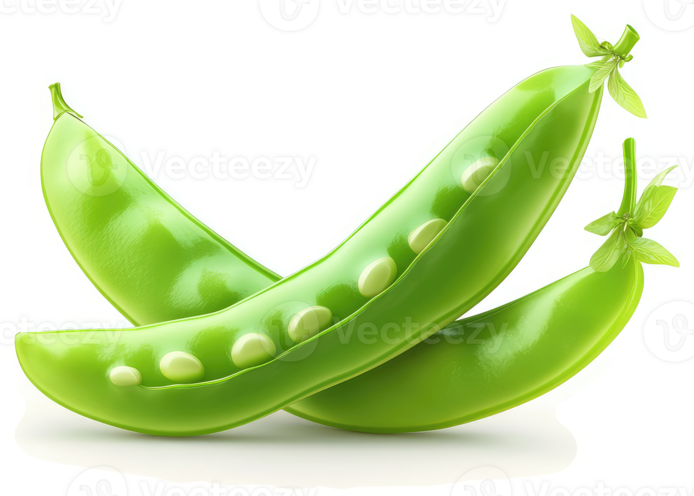 Fresh green snow peas, pods and peas displayed. png