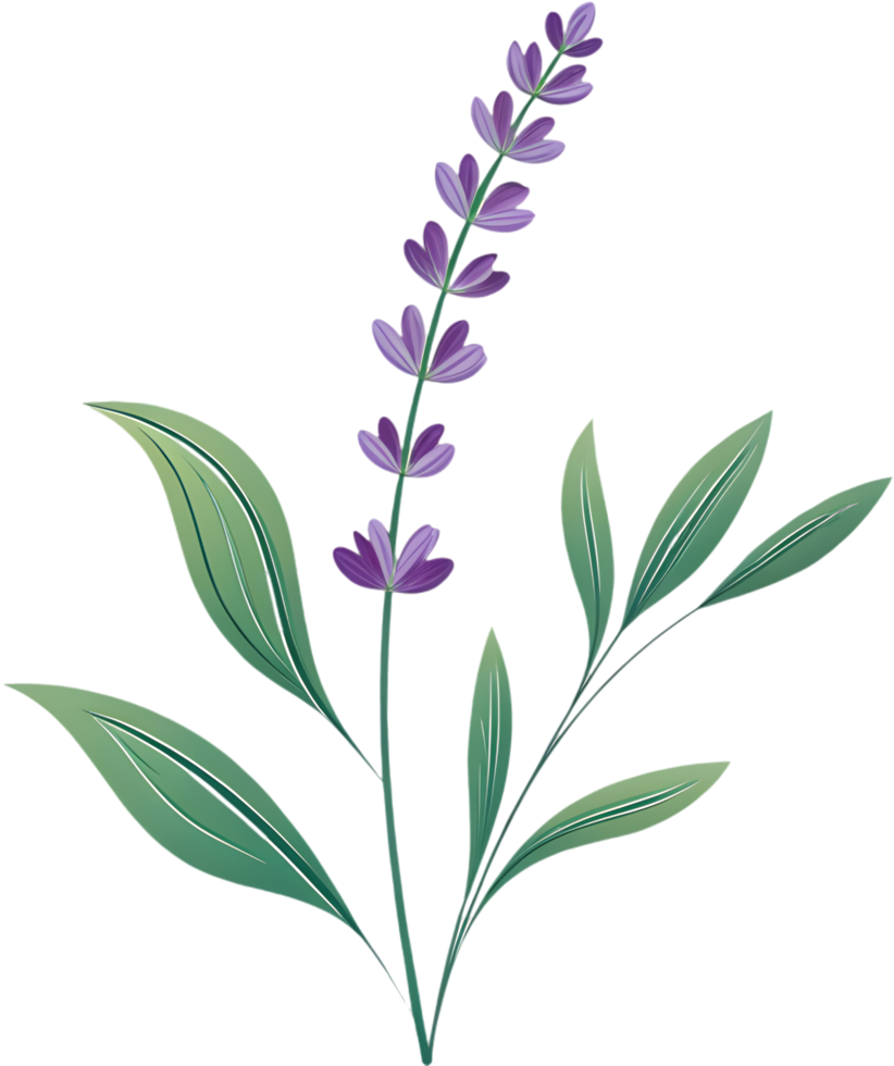 Colorful digital flower clipart in elegant art design. . png
