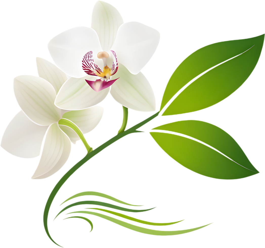 Beautiful minimalist blossom shape in soft flower art. . png
