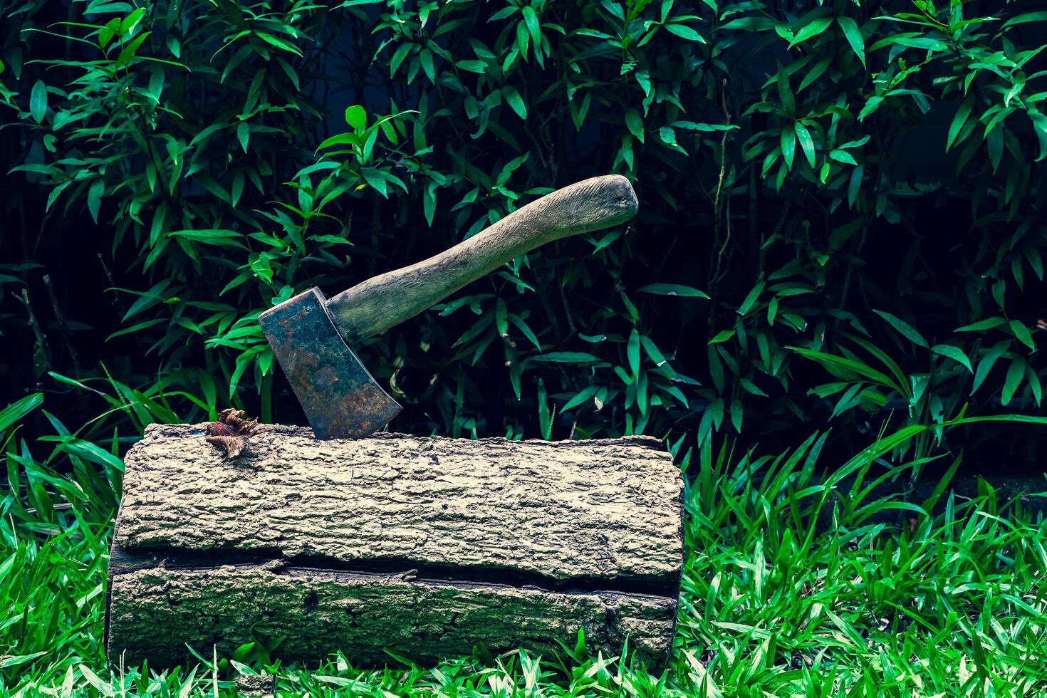 The axe is placed on a log. photo
