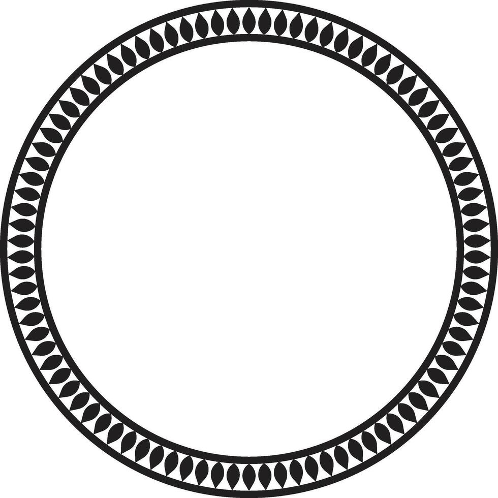 Mandala Frame with Symmetrical Petal Patterns vector