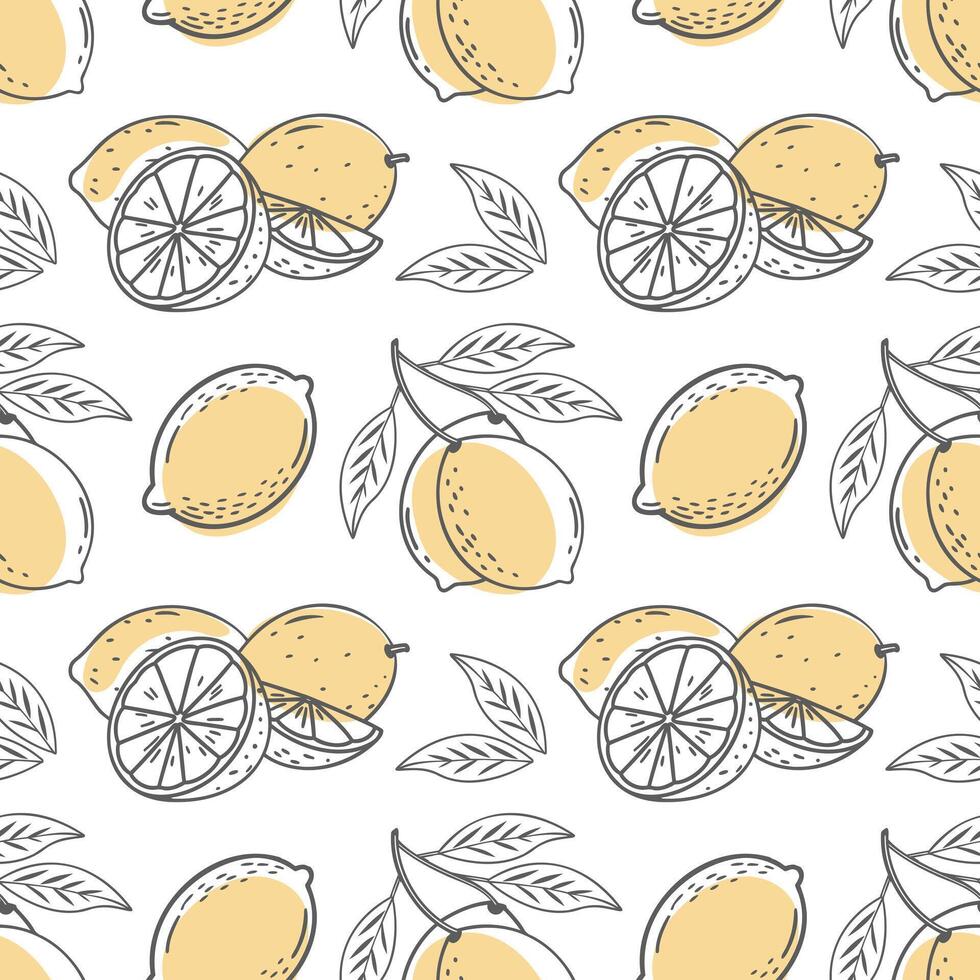 Lemon seamless pattern. Hand drawn outline citrus fruits on a white background. Illustration. vector