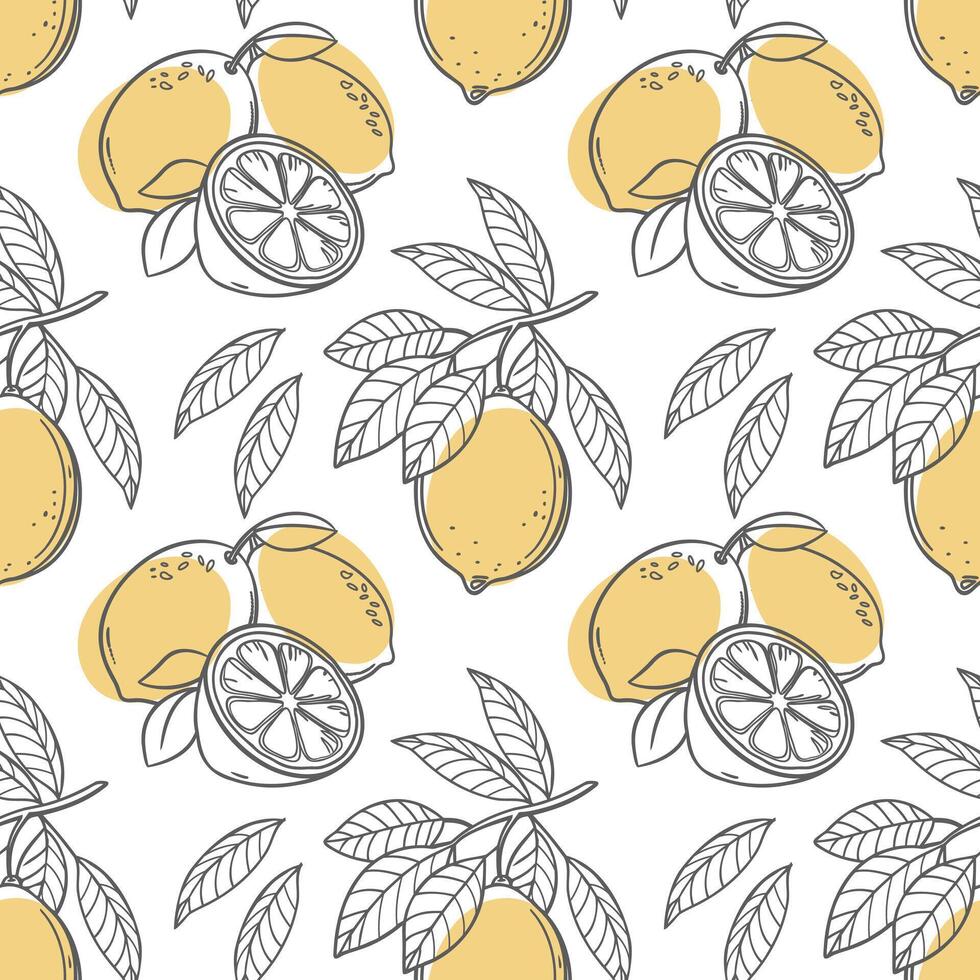 Lemon seamless pattern. Hand drawn outline citrus fruits on a white background. vector