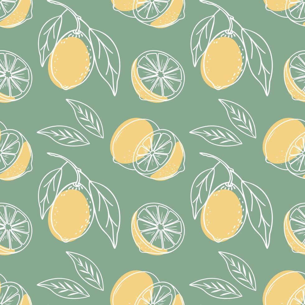 Lemon seamless pattern. Hand drawn outline citrus fruits on a green background. Illustration. vector