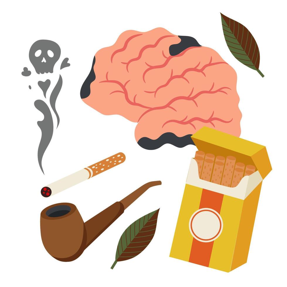 Brain of a smoker person. Dangers of smoking. Visual concept design. A pack of cigarettes, a smoking pipe and tobacco leaves. vector