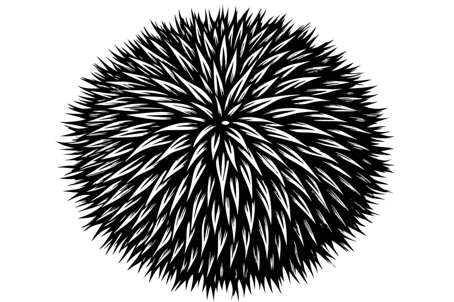 Detailed black and white illustration of a spherical, fluffy object. vector
