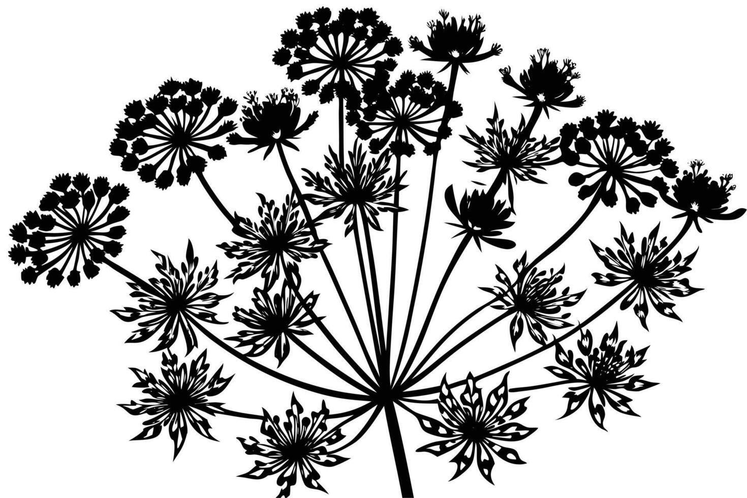 Elegant Black and White Silhouette of Wildflowers vector
