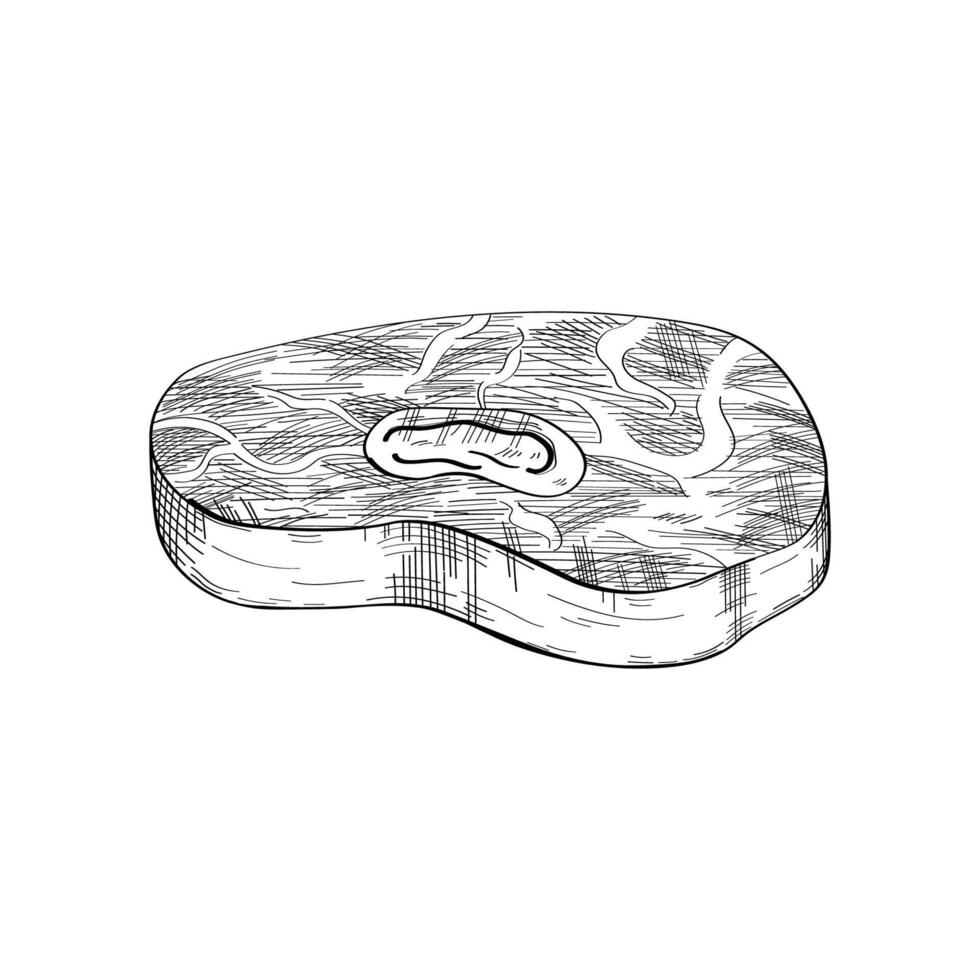 Engraved sketch Osso Buco meat on isolated background. Hand drawn Italian beef shank Ossobuco, semi finished butchery product. Graphic with Milan cuisine ingredient, food. illustration for menu vector
