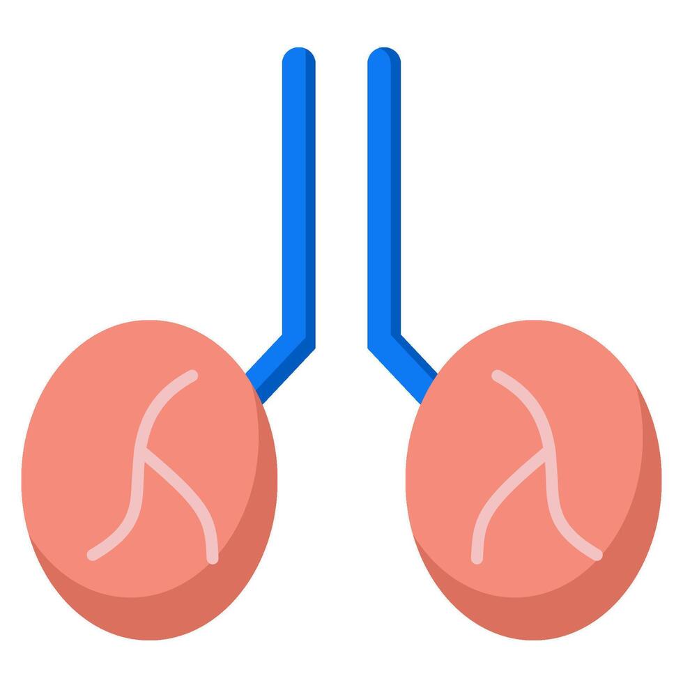 Testis in flat icon style vector